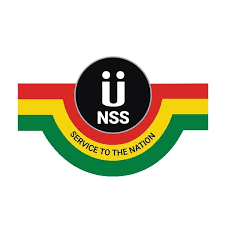 NSS Logo